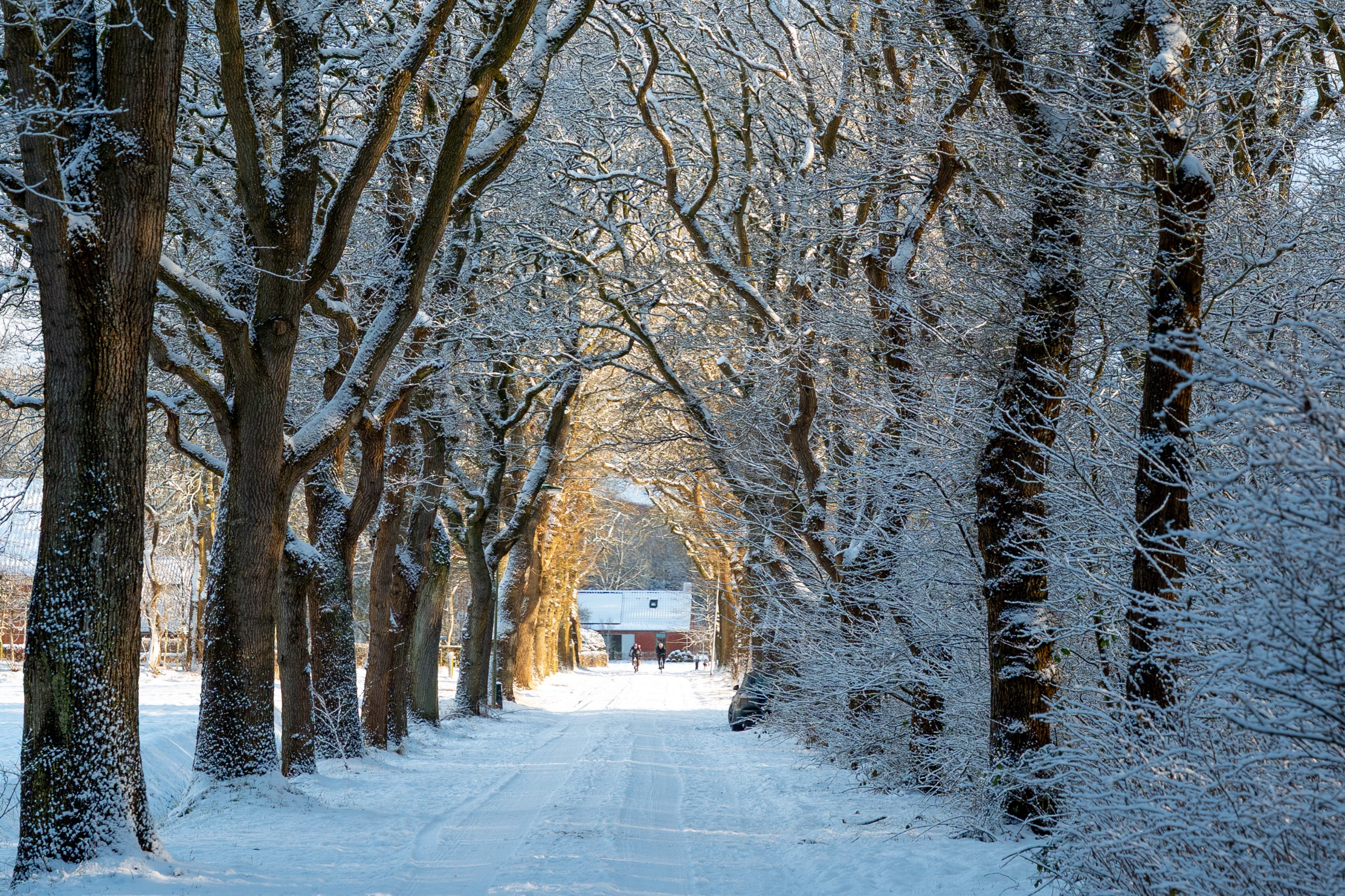 “Woensdag tussen de 5 en 10 centimeter sneeuw, in het weekend aanval van zachtere lucht”