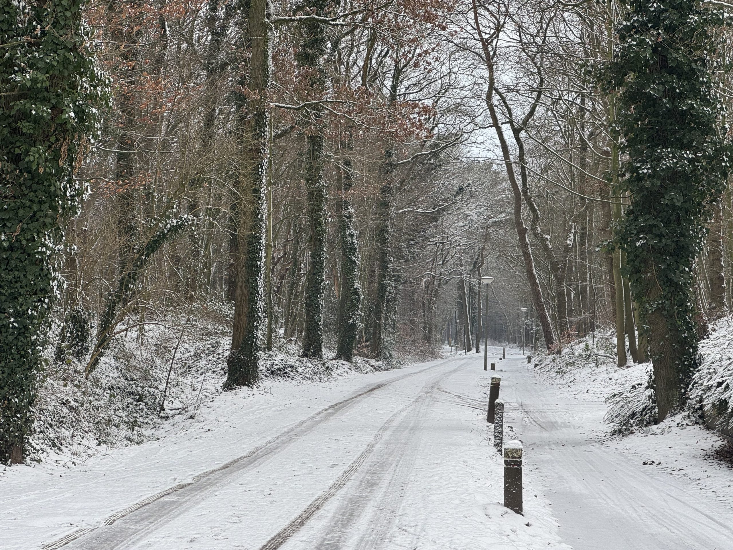 Sneeuw zorgt voor winterse gezelligheid in Groningen, ondanks code oranje