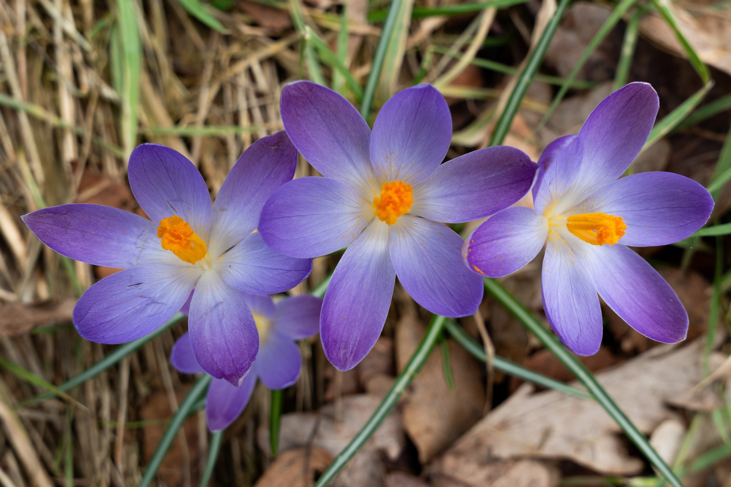 Donderdag zonnig en droog, na vrijdag koeler
