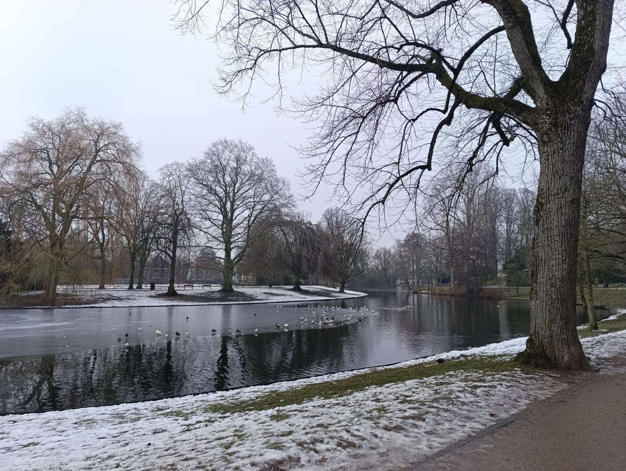 Dinsdag bewolkt en kans op regen, woensdag en donderdag een stuk kouder