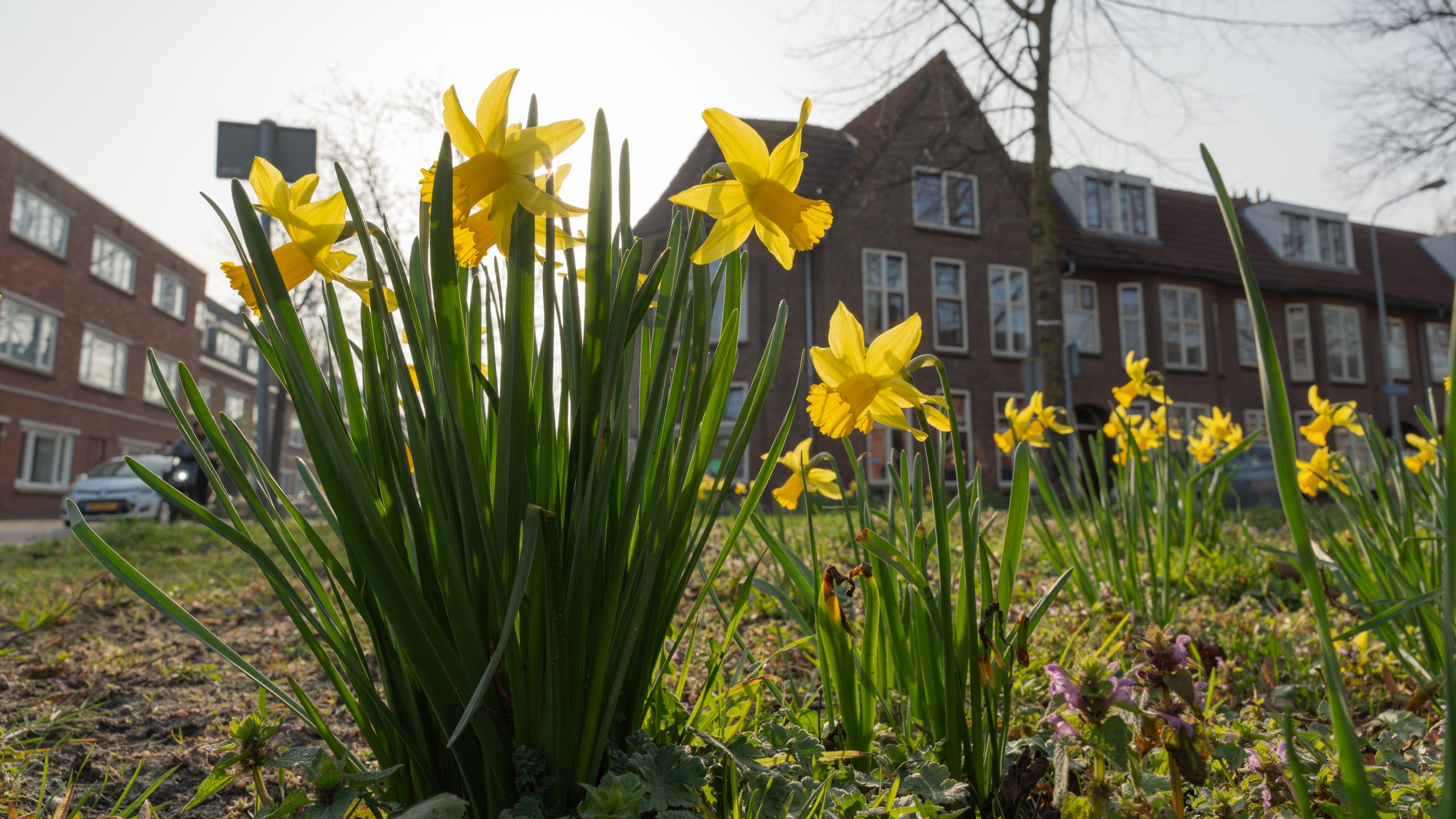 Dinsdag bewolkt, in de middag kans op wat zon
