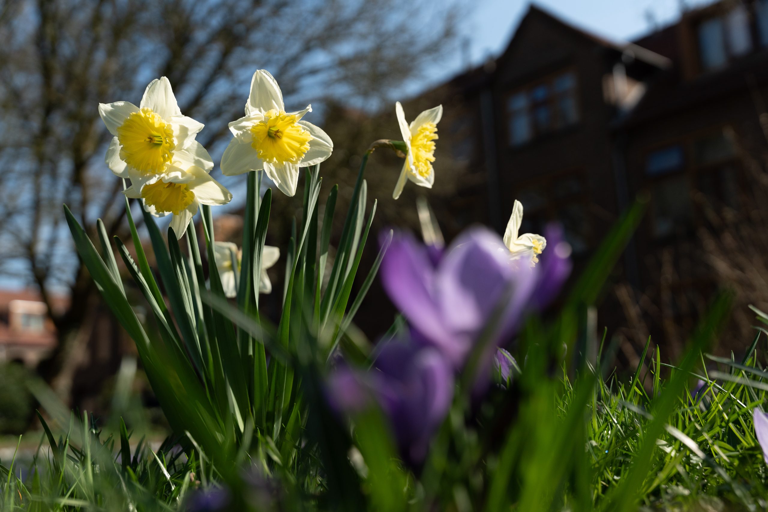 Droog weer en flink wat zon tijdens tikkeltje fris weekeinde
