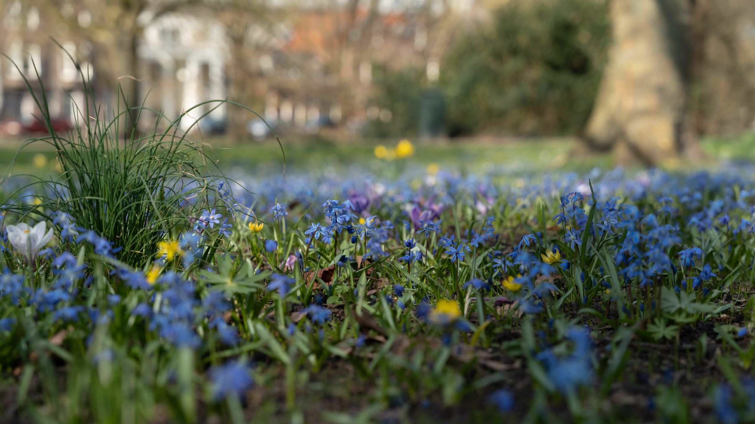 ‘Zondag veel zon, komende dagen bewolking en kouder’