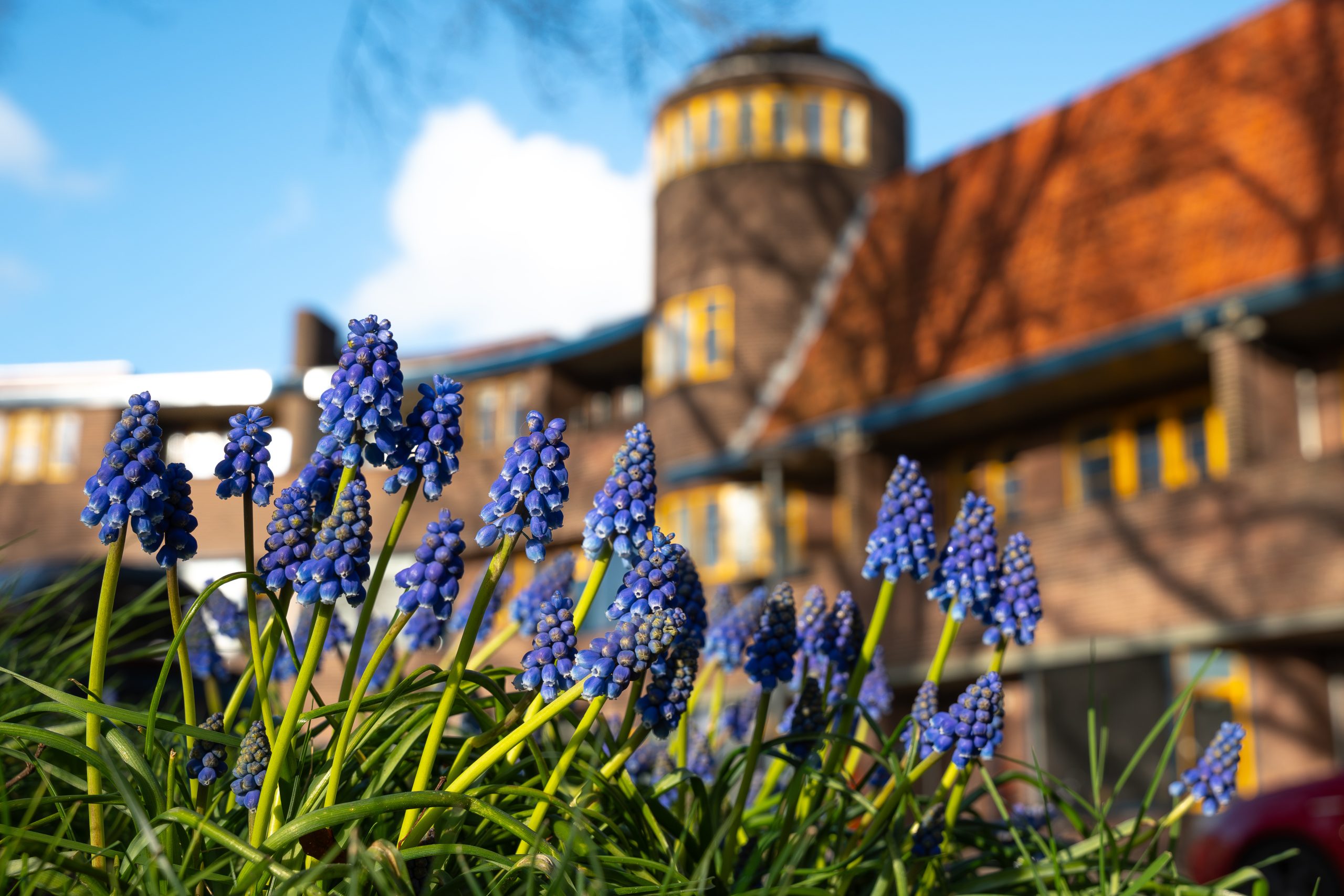 ‘Zondag ruimte voor de zon, komende dagen buien’