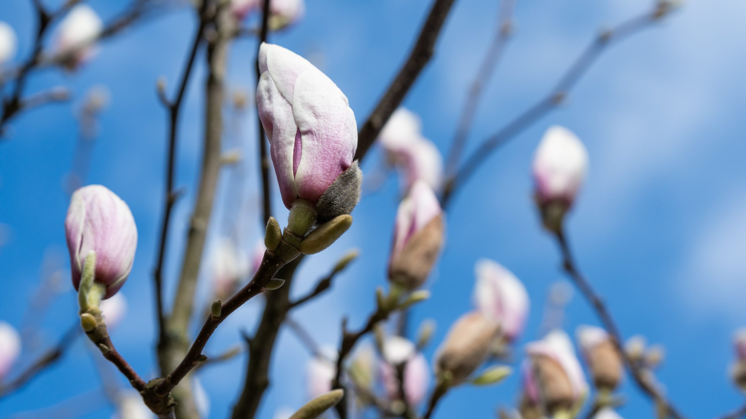 ‘Woensdag ruimte voor de zon, komende dagen bewolkt en een spatje regen’