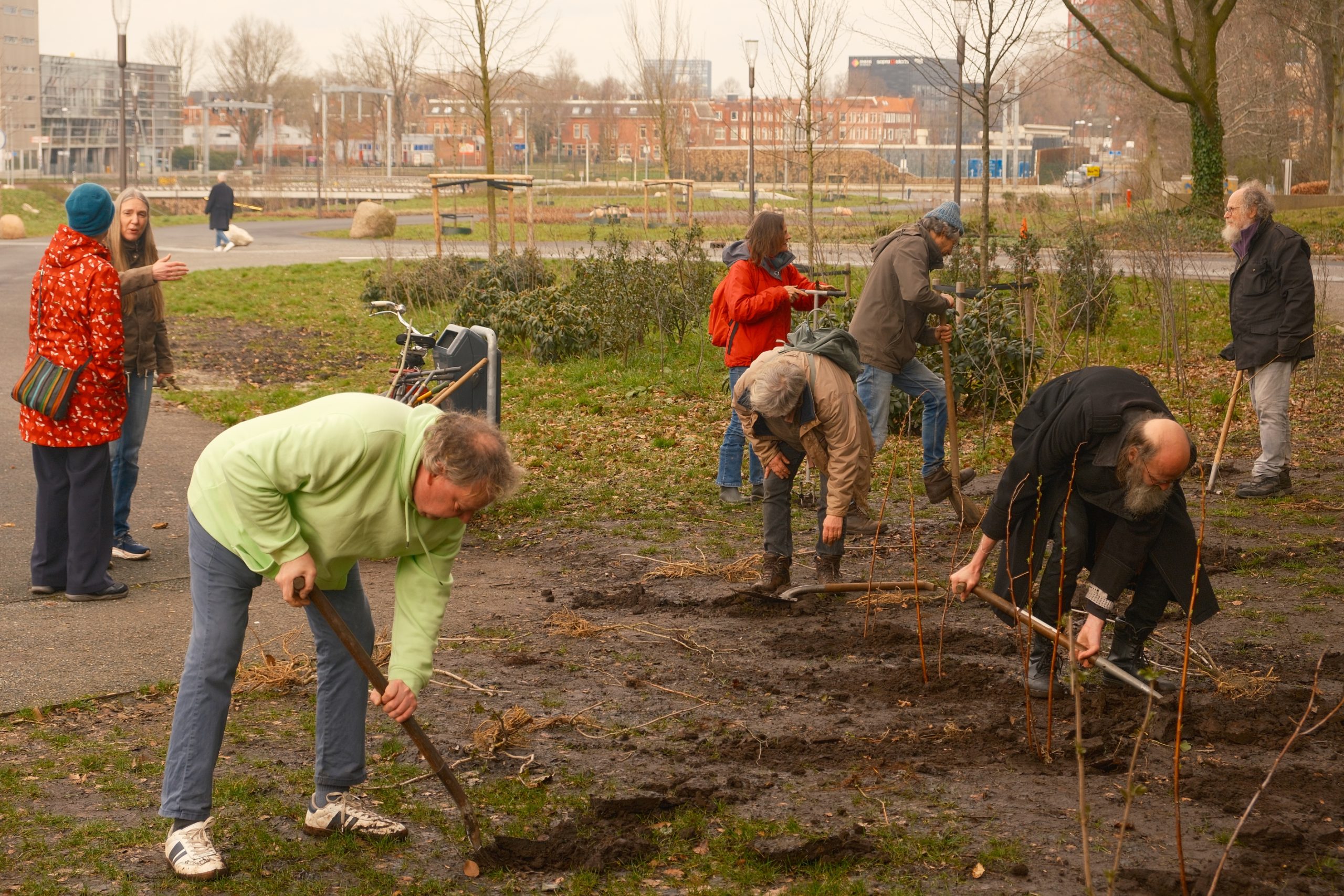 Groene actie bij Sterrebos: XR plant ‘beschermwal’ van inheemse struiken langs randen