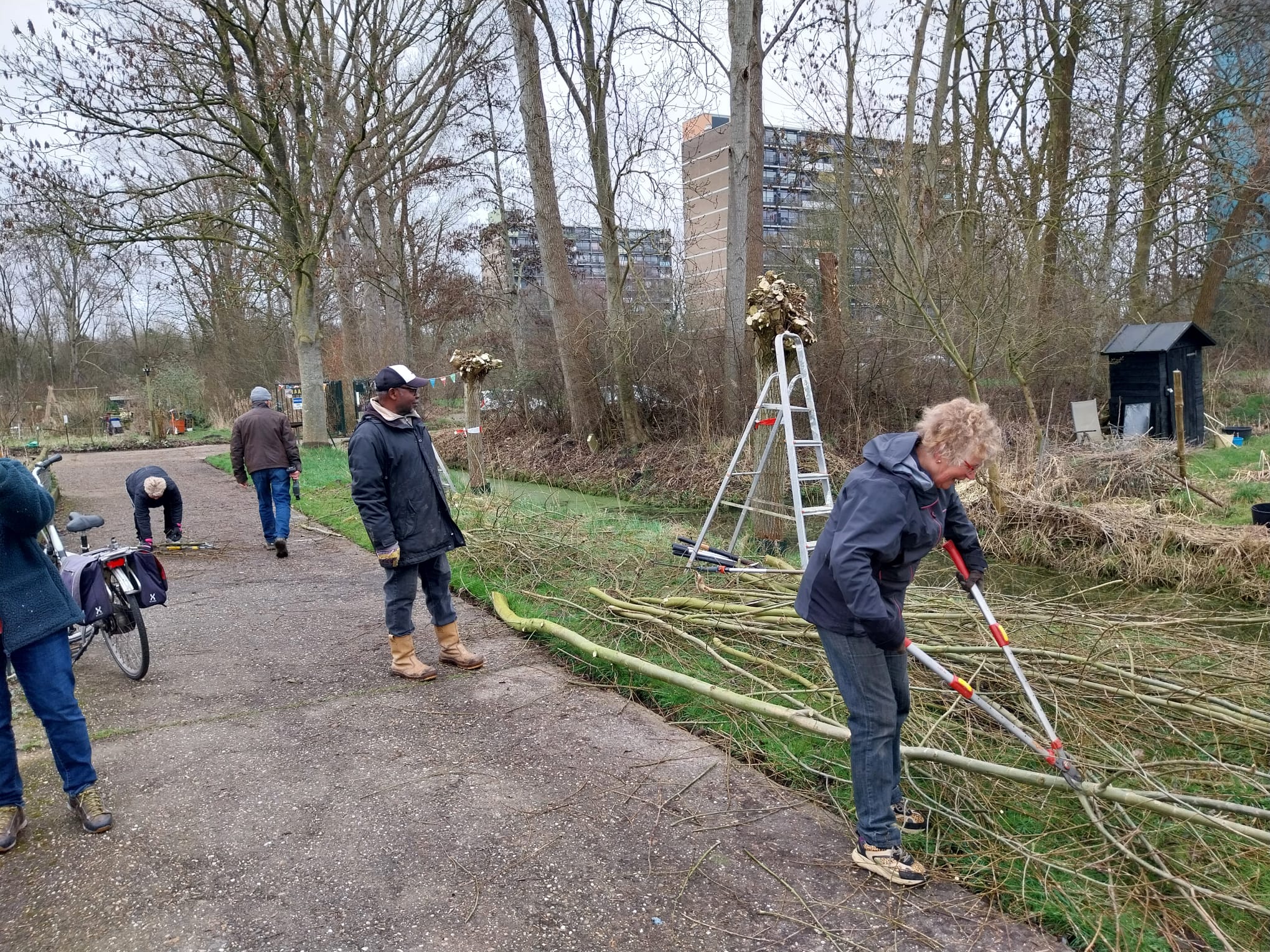 NLdoet in de gemeente: knotten van wilgen in Vinkhuizen en handen uit de mouwen in Garmerwolde