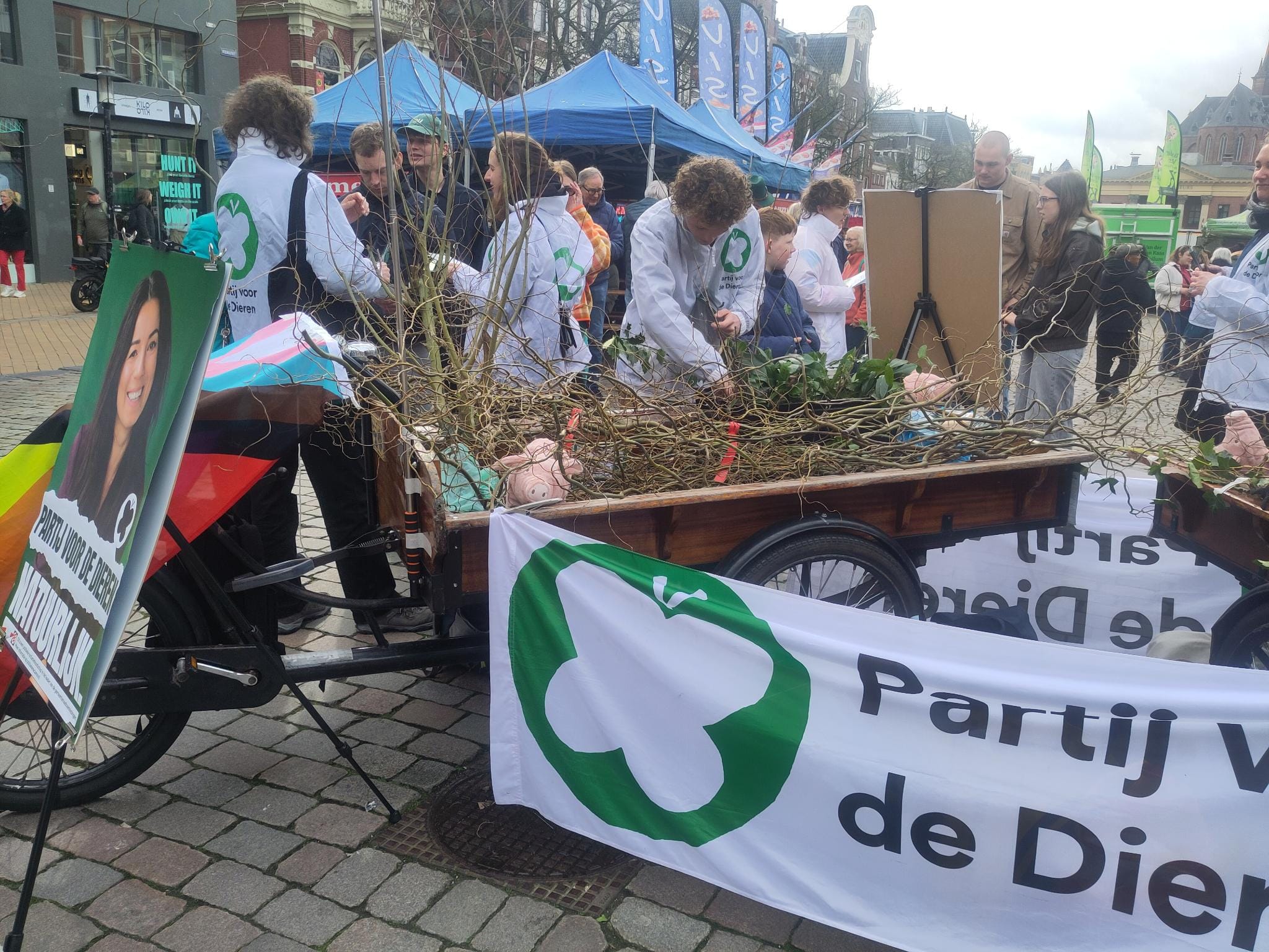 Partij voor de Dieren deelt zaailingen uit op Vismarkt: “Groningen kan groener”