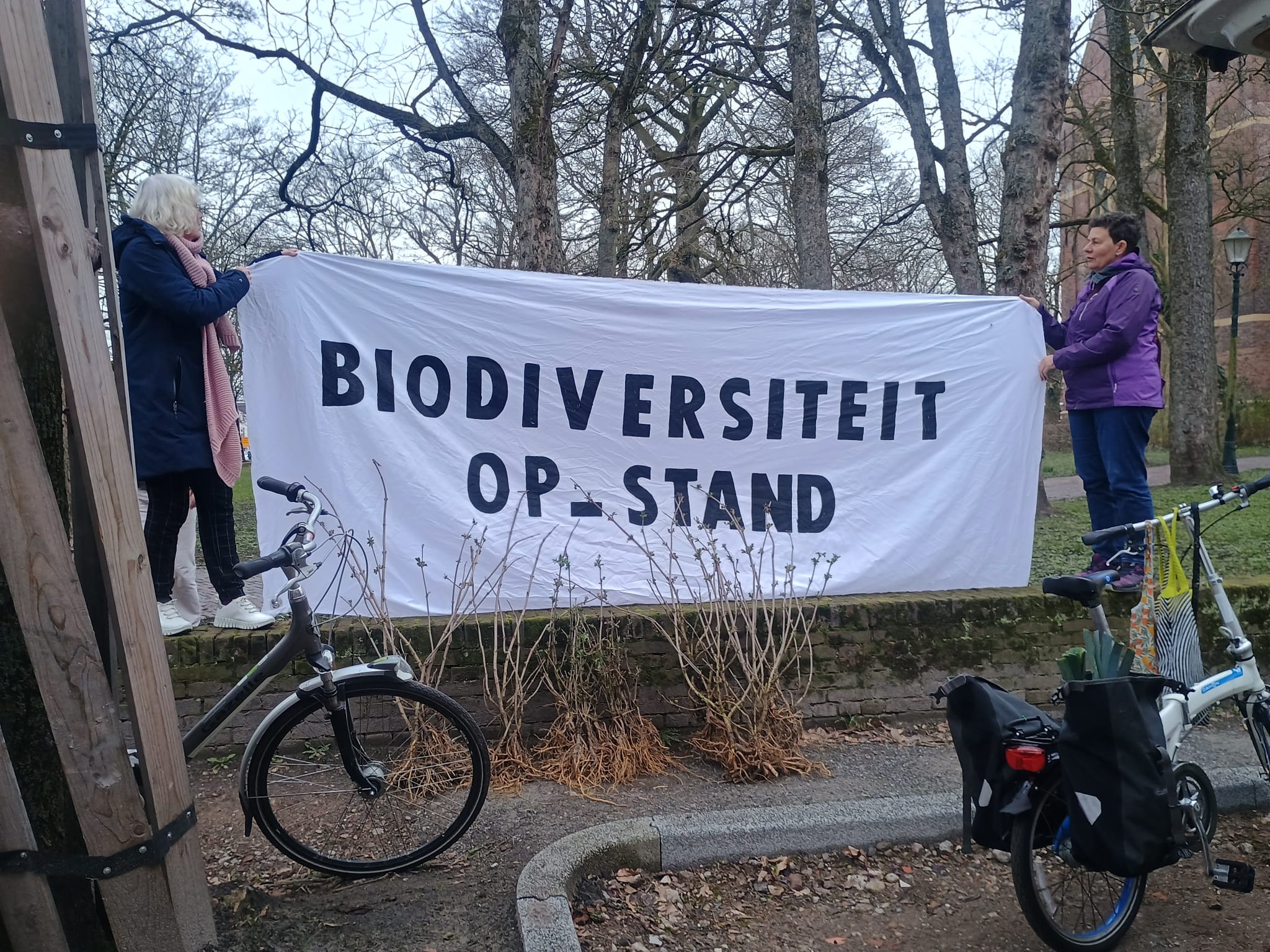 XR deelt vlierstruiken uit op Nieuwe Kerkhof: biodiversiteit een handje helpen