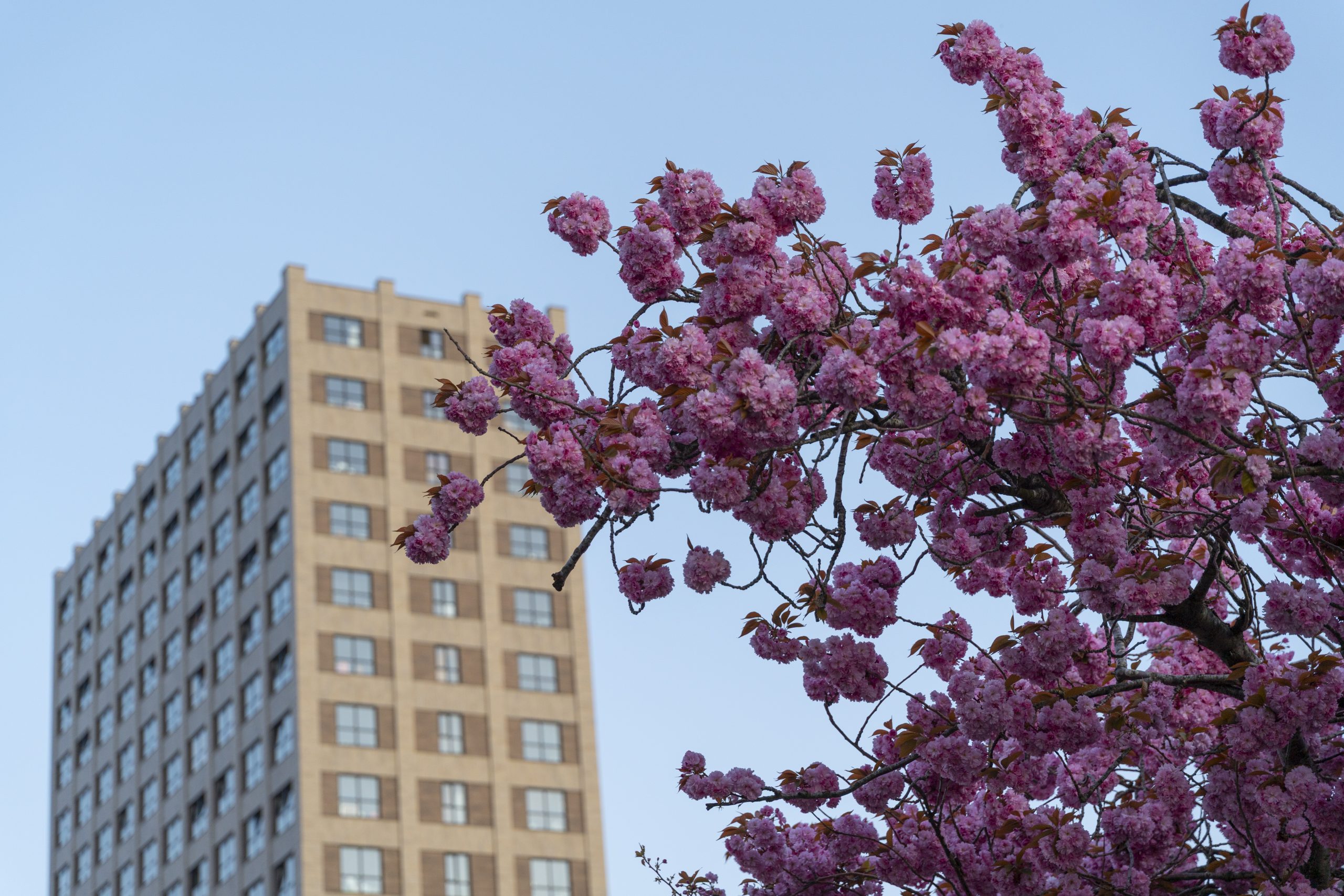 “Maandag toenemende bewolking en lichte regen, vanaf dinsdag meer zon”