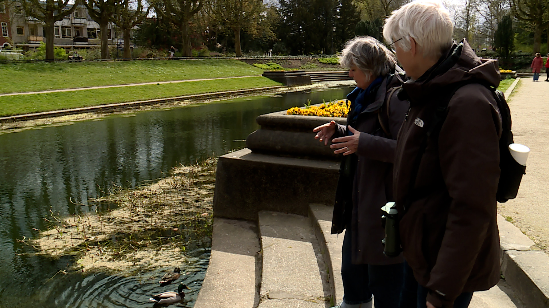 Dieren en planten bekijken tijdens maandelijkse excursie Noorderplantsoen