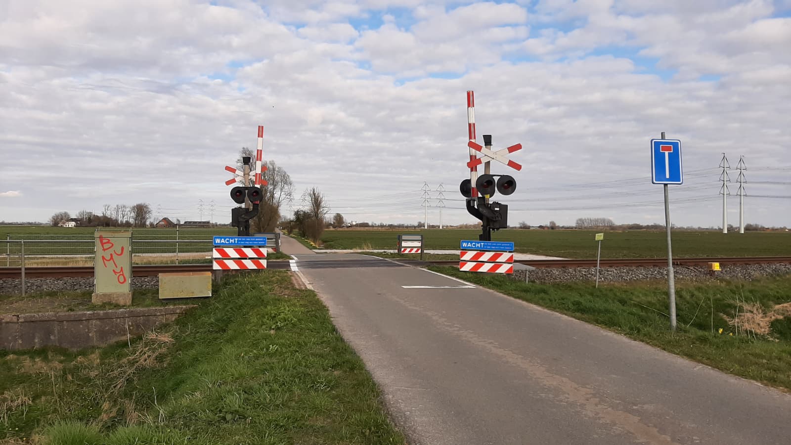 Geen treinen tussen Groningen en Sauwerd vanwege aanrijding met koe