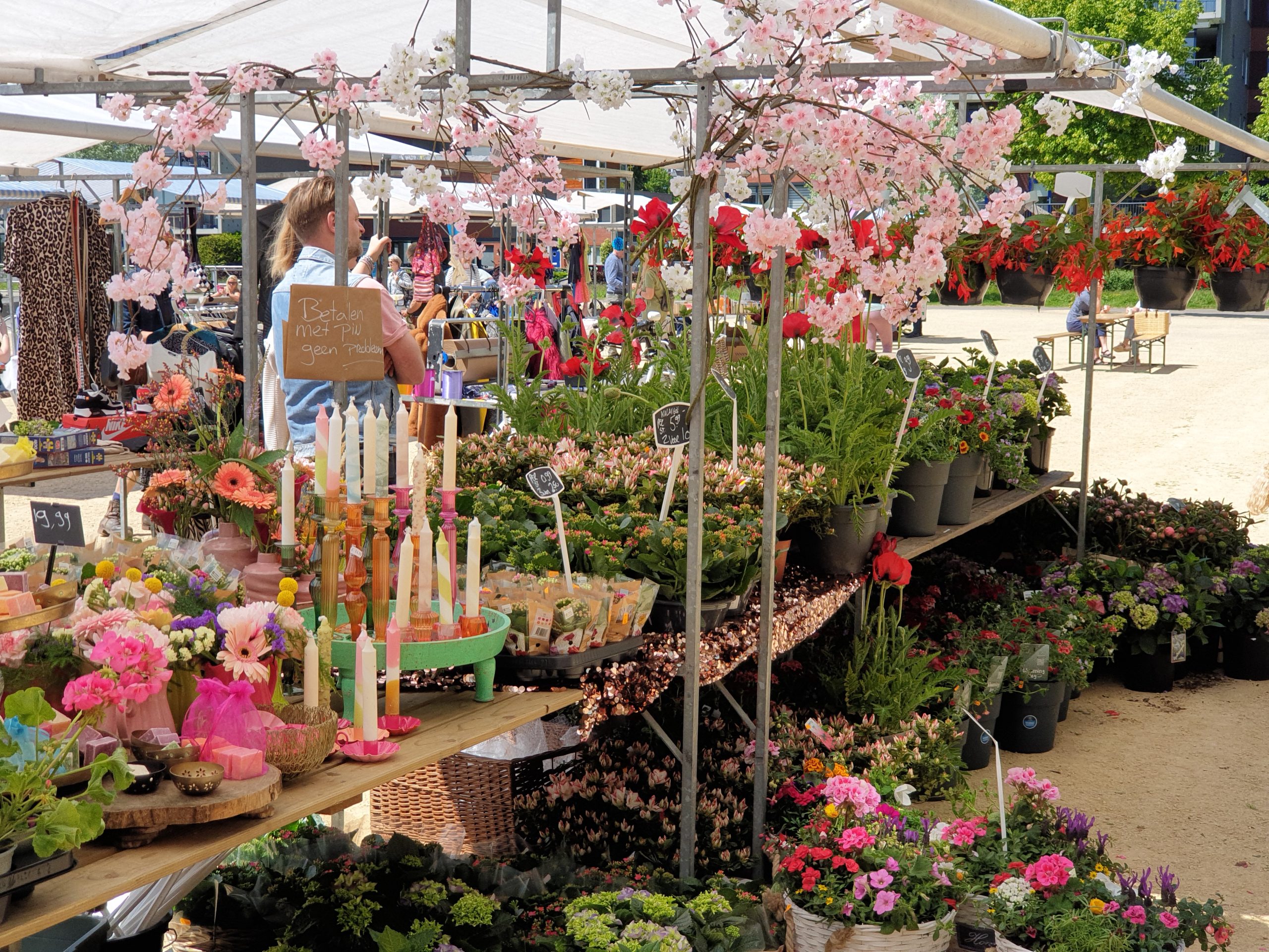 Zomermarkt Hoornse Meer op zaterdag 6 juni