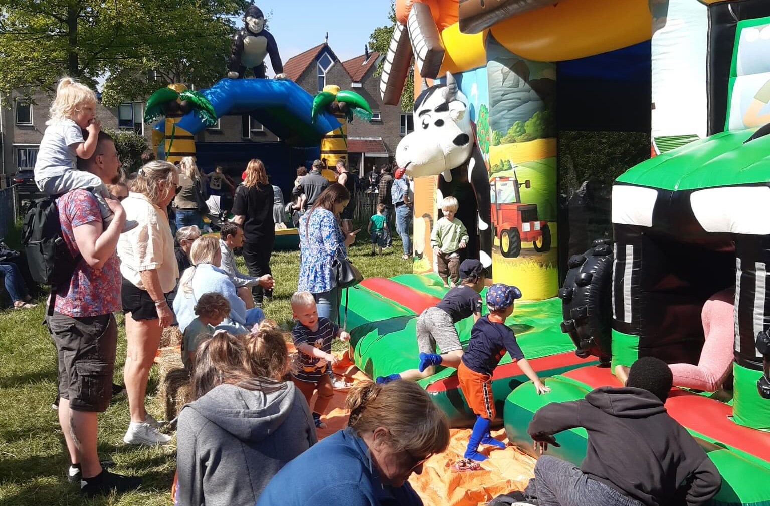Schaapscheerdersfeest De Beestenborg trekt bijna 1.000 bezoekers: “Sfeer was geweldig”