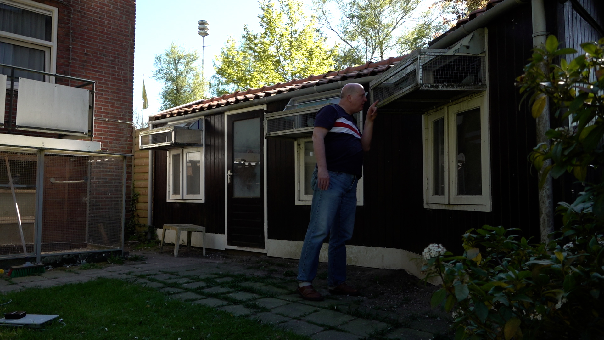 Postduivenhouder vreest voor nieuwe aanvallen van slechtvalk