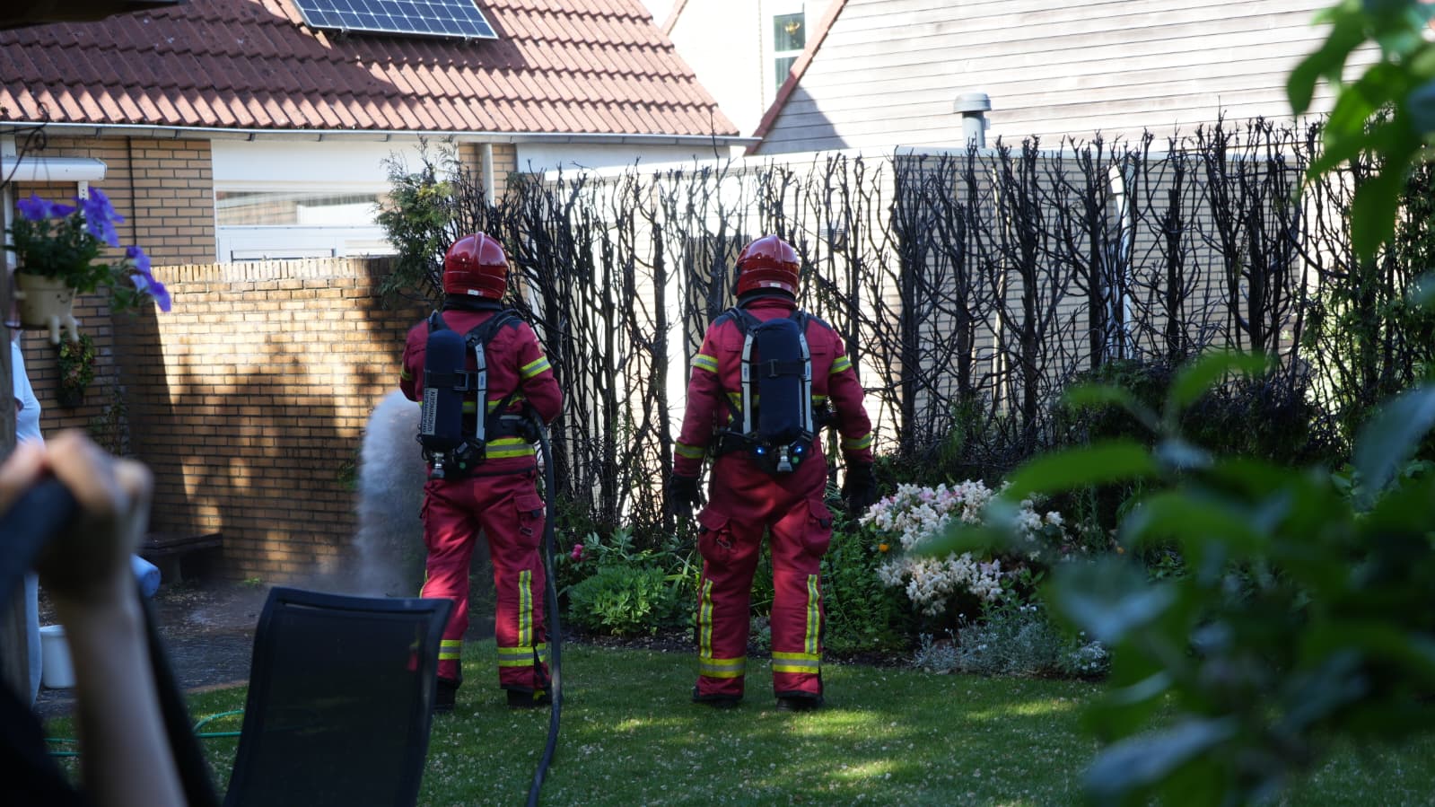 Onkruid branden gaat mis in Haren: coniferenhaag vliegt in brand