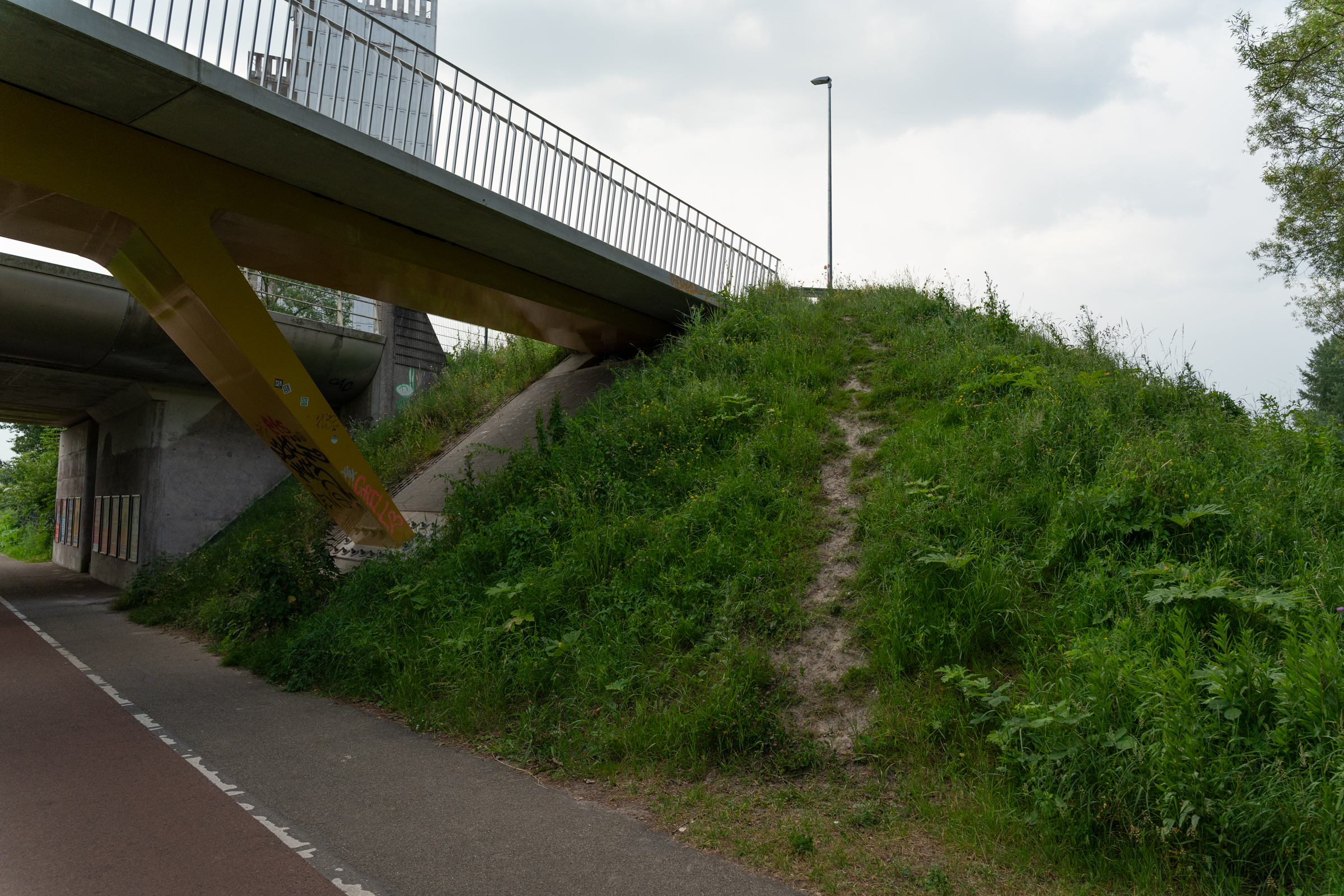 Olifantenpaadje naast Walfridusbrug gevaarlijk, maar steeds meer gebruikt