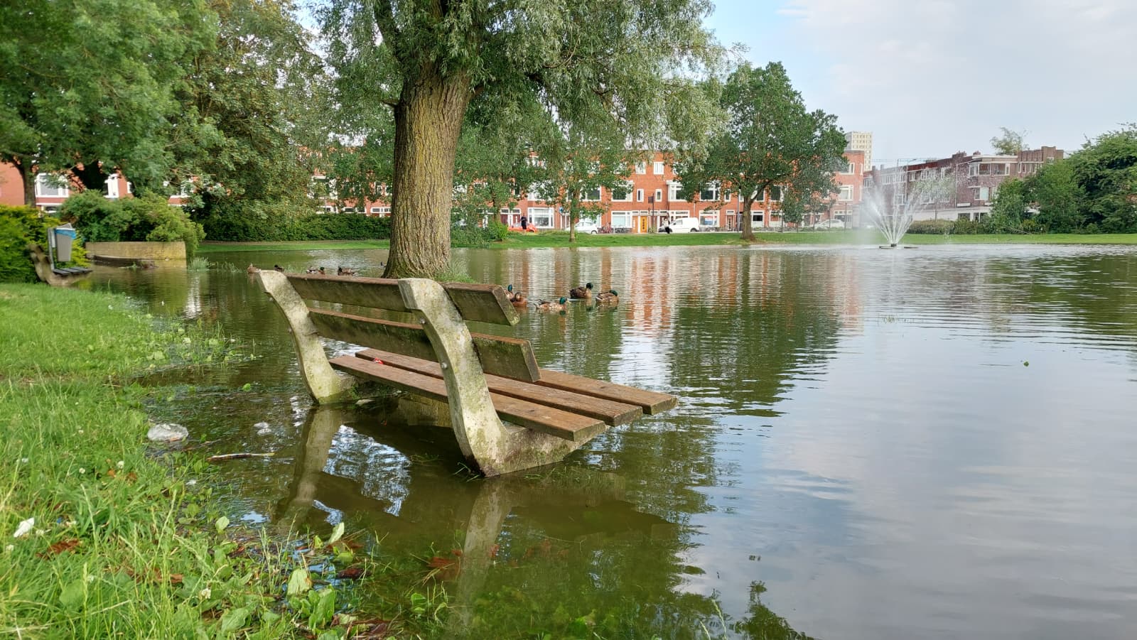 “Maandag zonnige perioden en 25 graden, komende dagen aangenaam zomerweer”