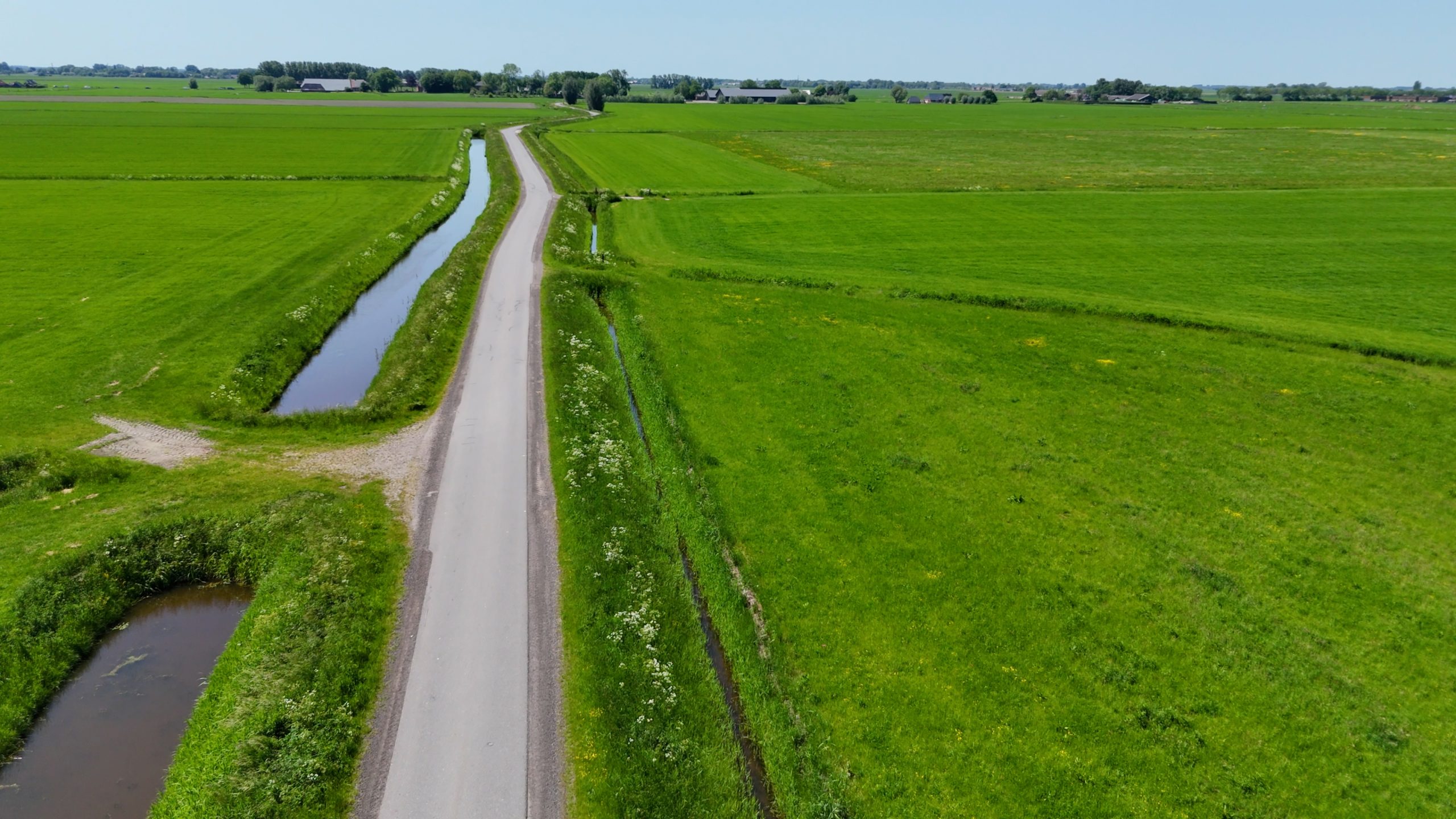 Bouwstof #25: Hoe beheer je bermen met meer biodiversiteit?
