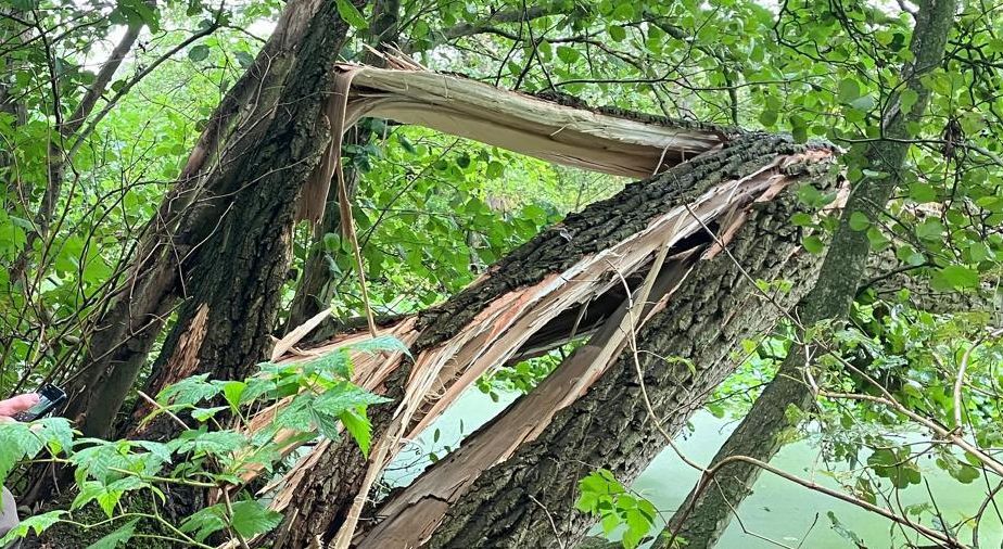 Opruimen stormschade in Groningen duurt zeker zes weken