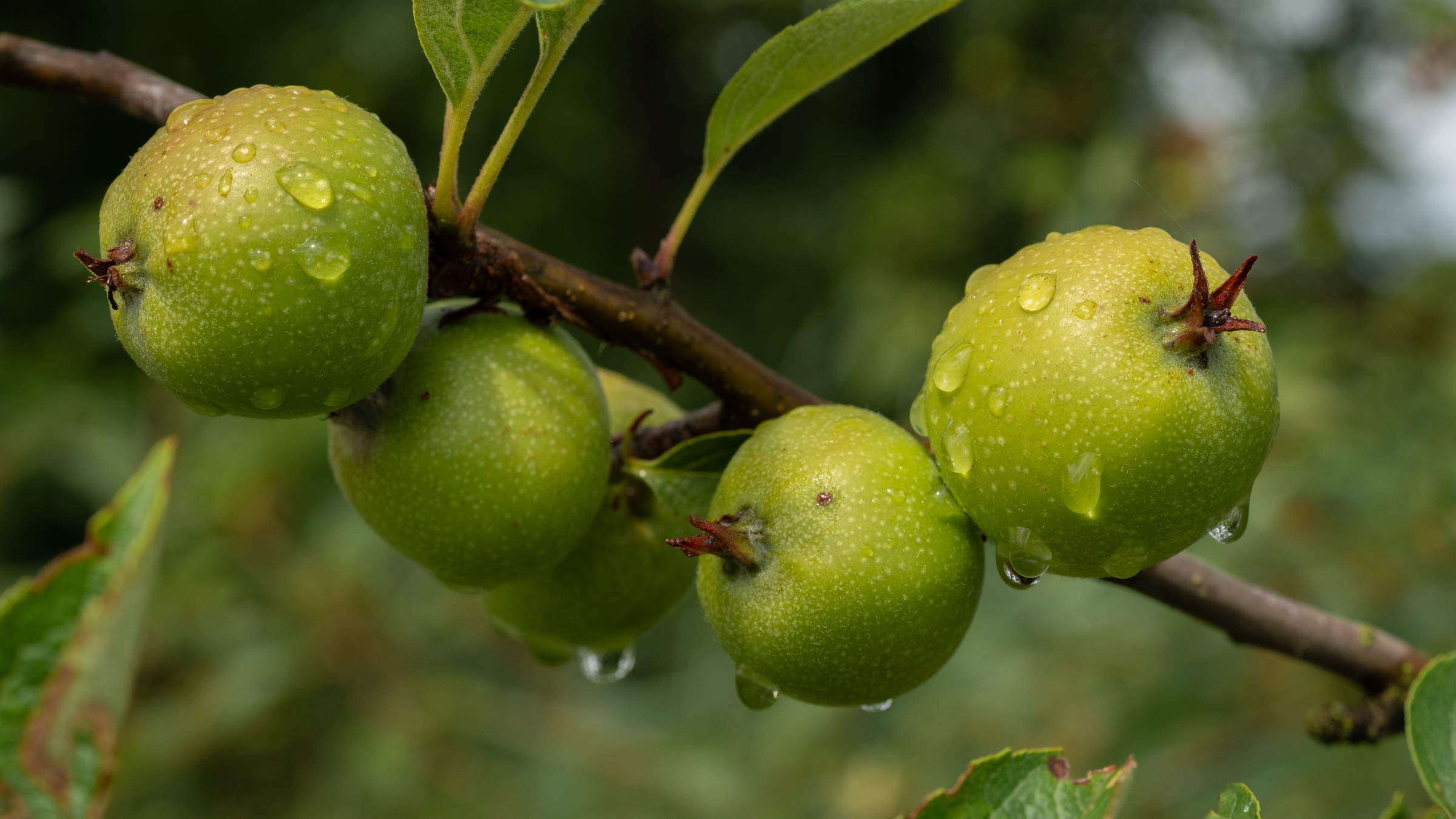 “Maandag veel bewolking en een spatje regen, later in de week meer zon en 24 graden”