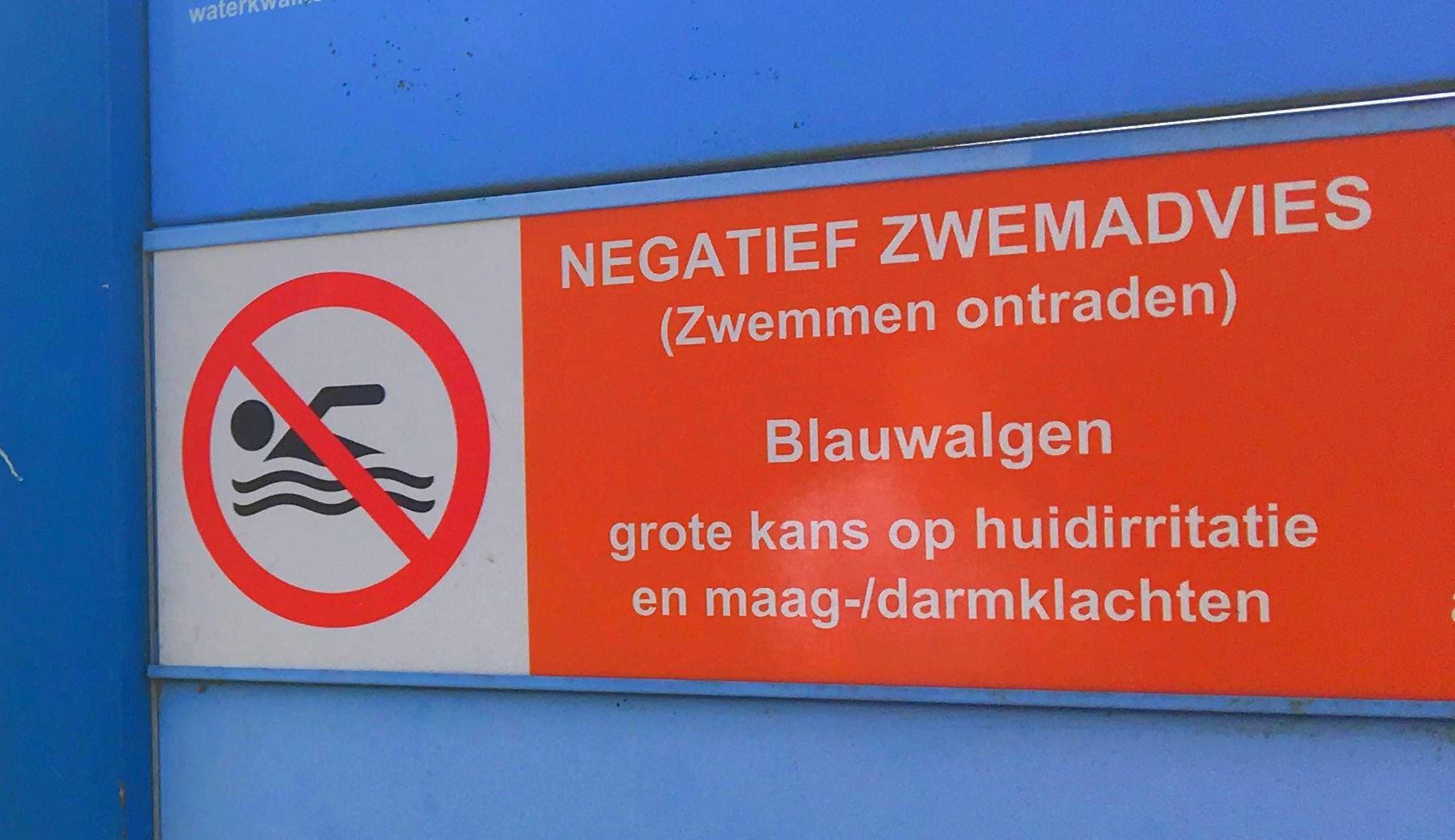 GGD waarschuwt voor blauwalg op meerdere zwemplekken