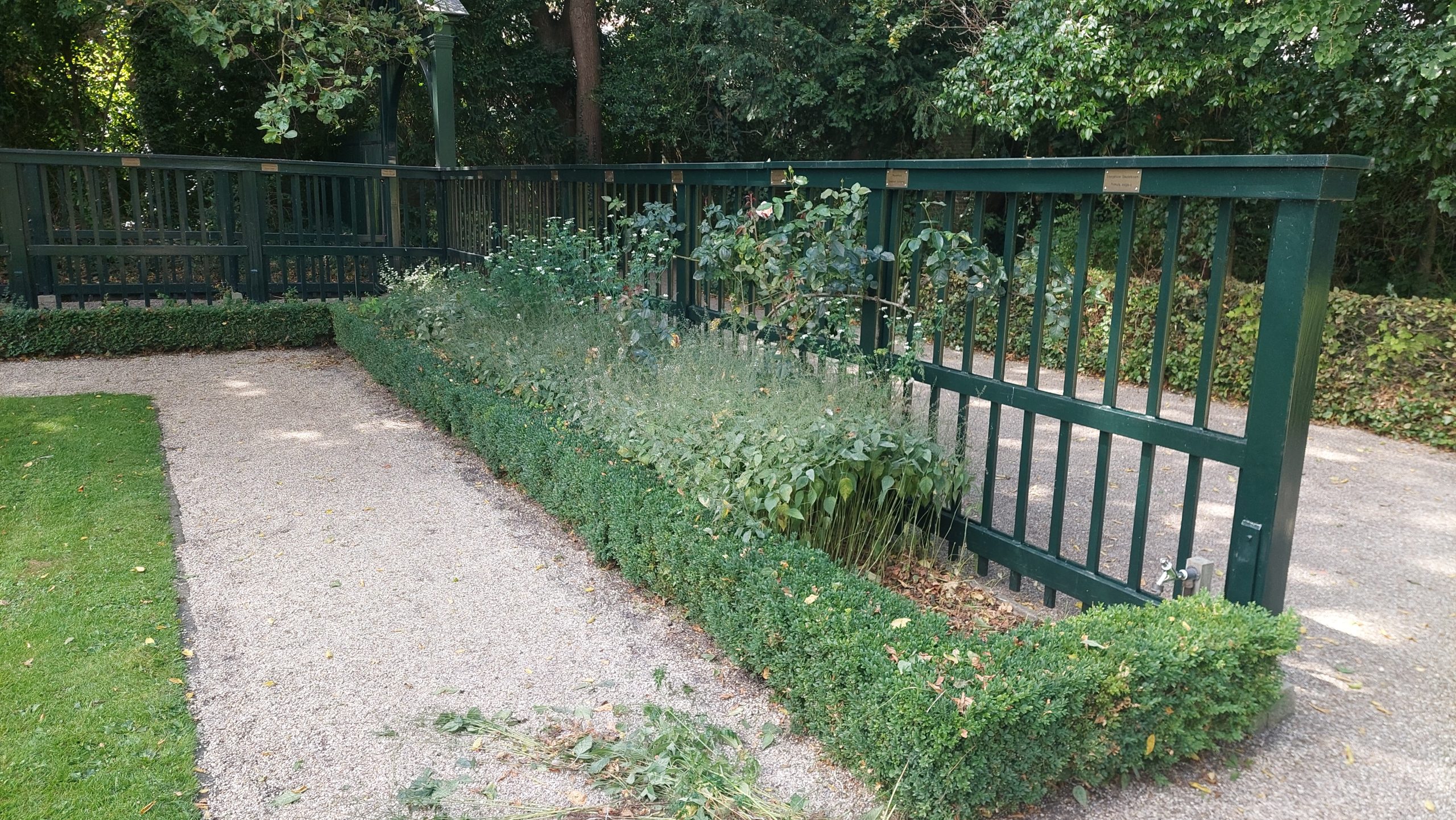 Aantal kruidenplanten in Prinsentuin neemt af