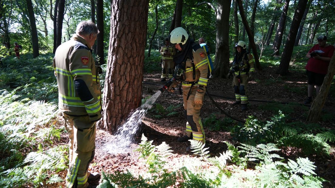 Wandelaar ontdekt brand in Noordlaarderbos
