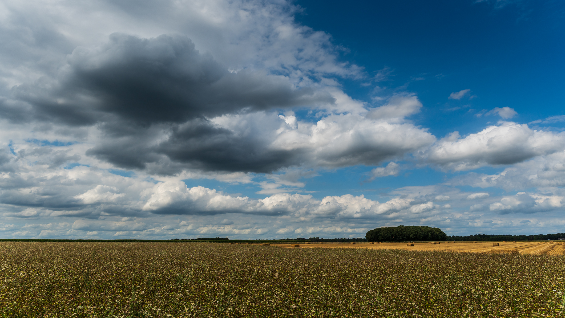Dinsdag een verlate zomerdag met zon en 25 graden
