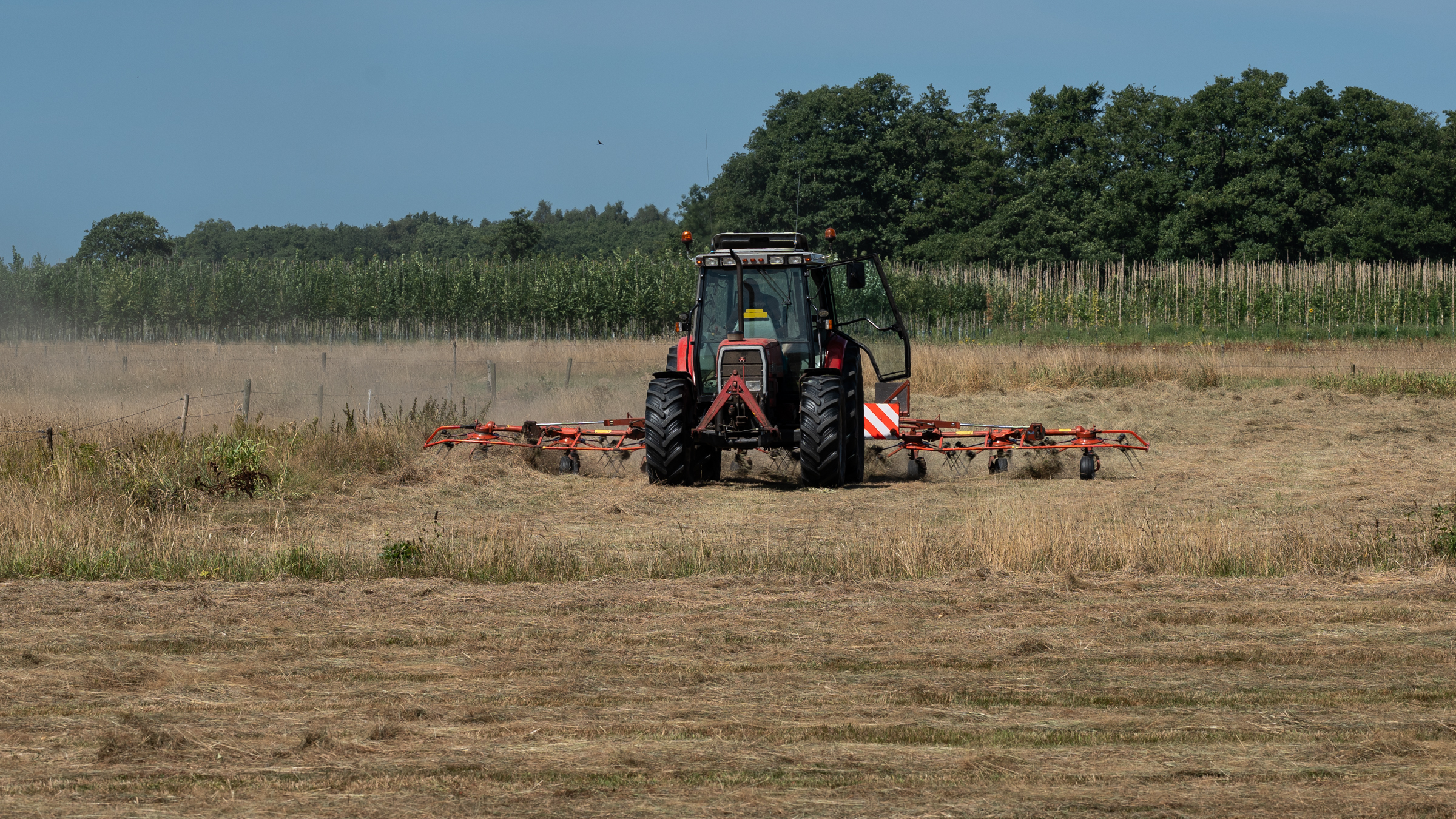 Waterschap: ‘Regen geeft wat verlichting, maar droogte blijft een probleem’