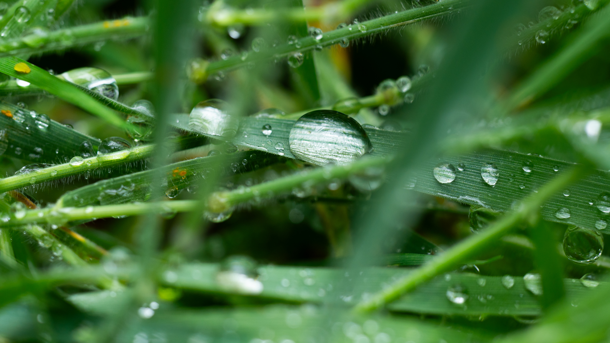Weekend nog wisselvallig, daarna loopt temperatuur weer op
