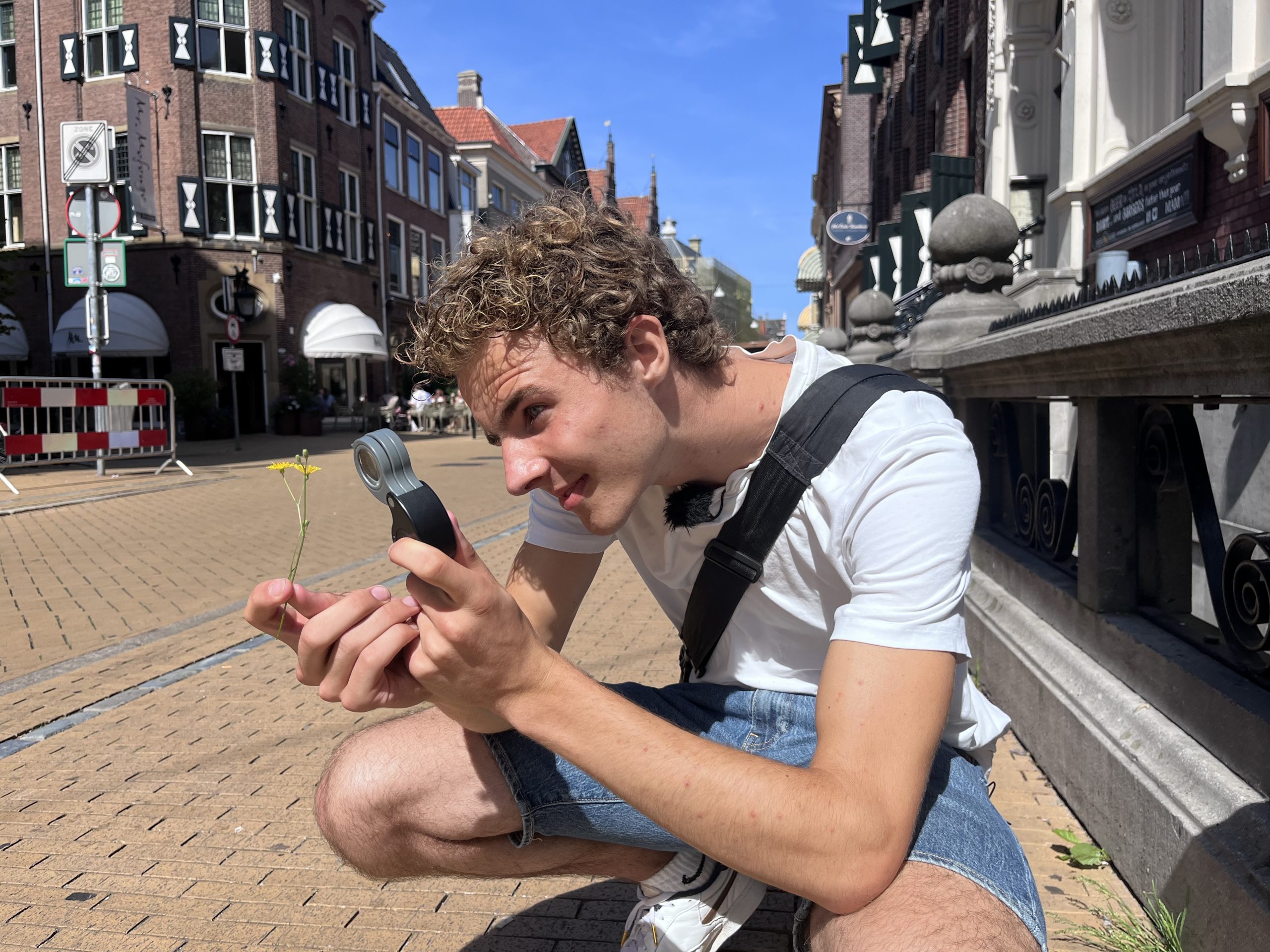 Op pad met Wessel | De stoepplanten van Groningen