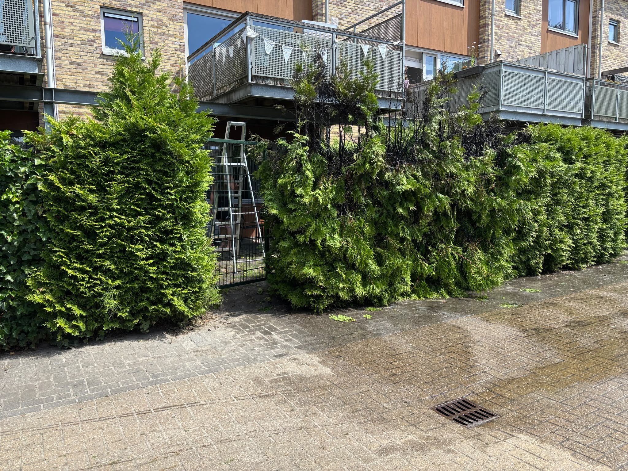 Coniferen vatten vlam achter woning aan Aldebaranstraat