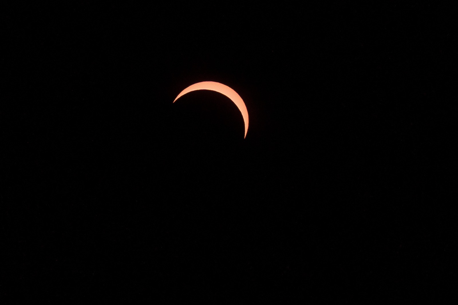 RUG-onderzoek na eclips: mezen en duiven gingen zich verstoppen, natuur verstilt