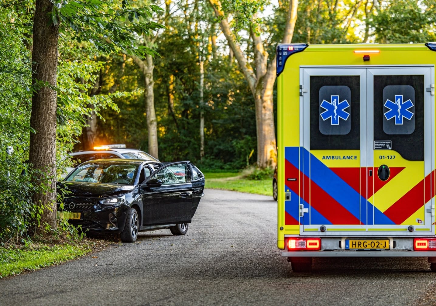 Automobilist botst tegen boom bij Hoornseplas