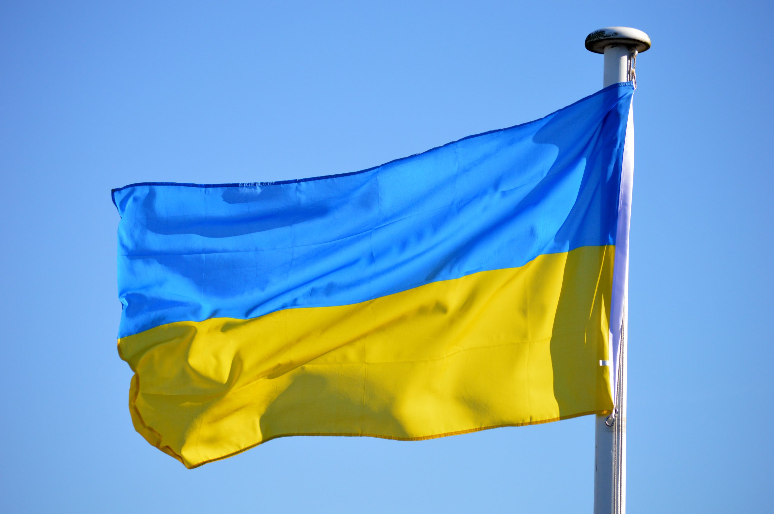 Stadspark kleurt zondag blauw-geel voor ‘Run for Ukraine’: sporten en muziek voor het goede doel