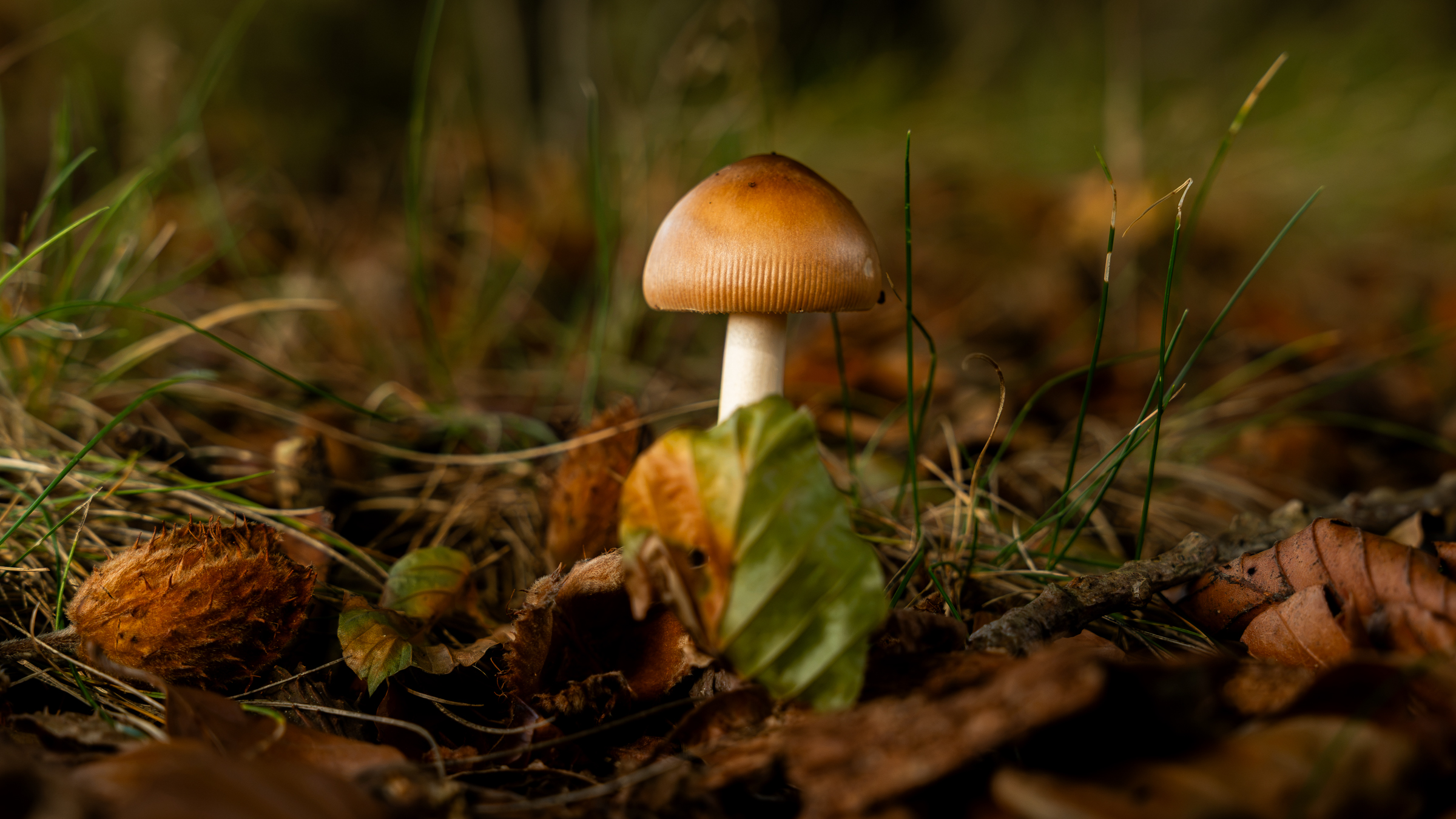 Bewolkte donderdag met een bui, daarna droog met meer zon