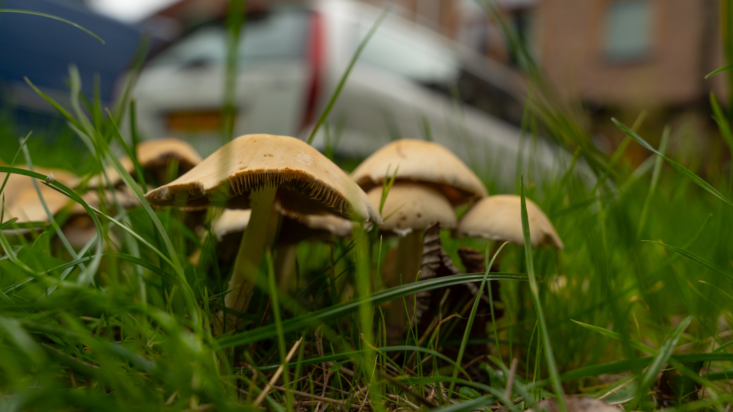“Maandag wisselend bewolkt en droog, vanaf woensdag koeler en onstabieler”