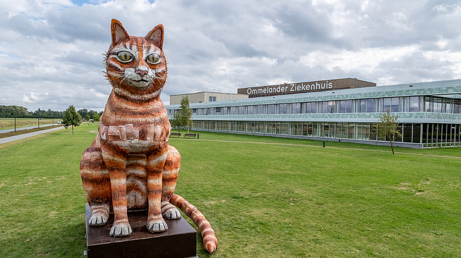 Zes meter hoge kat van Noorderzon krijgt plek bij Ommelander Ziekenhuis in Scheemda