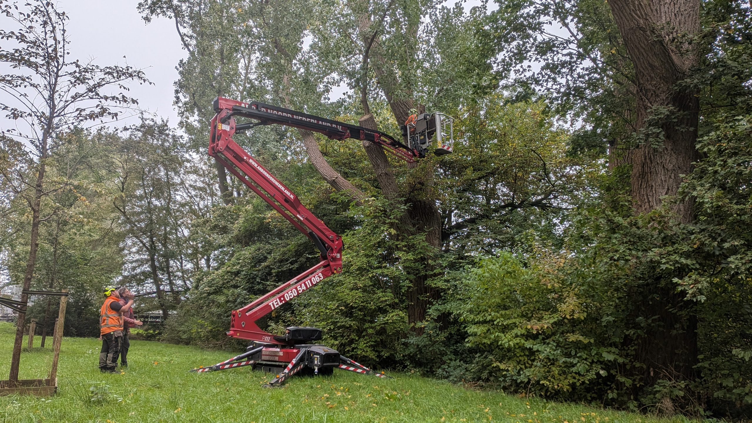 Vleermuizen bij Gerrit Krolbrug hebben nieuwe huisjes gekregen