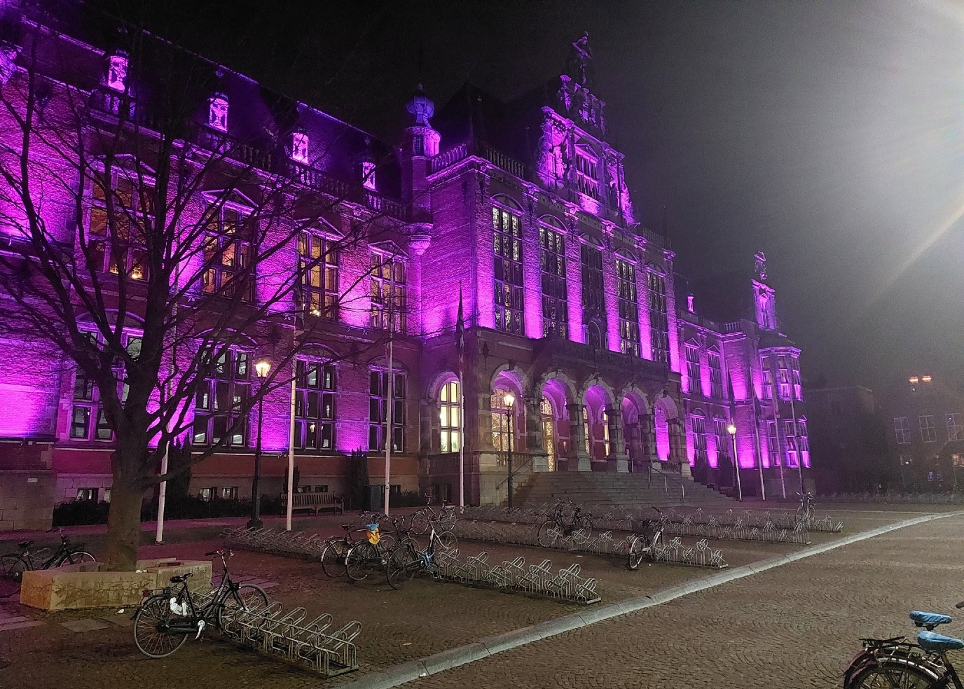 Paarse Vrijdag: Academiegebouw paars uitgelicht