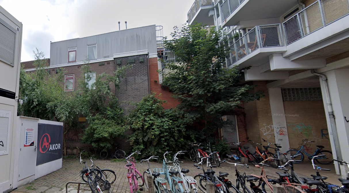 Geveltuin in binnenstad zonder waarschuwing weggezaagd: “Stukje stadsnatuur is weg”