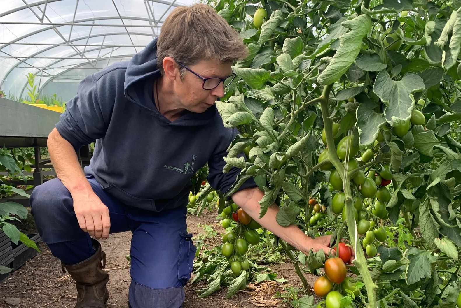 Merlijn Albering van De Stadsakker krijgt Waarde-Ring van provincie voor inzet rond bewuster eten en